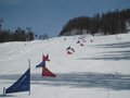 IMG_8459