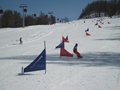 IMG_8452
