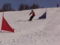 DSC02810