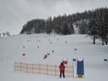 IMG_8369