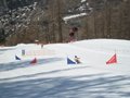 IMG_8429