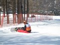 IMG_8461