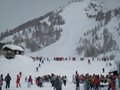 IMG_1537