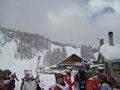 IMG_1494