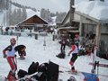 IMG_1533