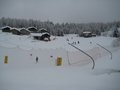 IMG_1506