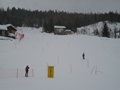 IMG_1845