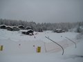 IMG_1510