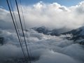 IMG_1609