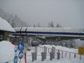 IMG_1512