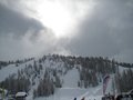 IMG_1536