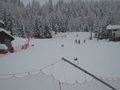 IMG_1505
