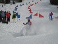 IMG_1768