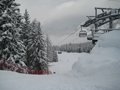 IMG_1497
