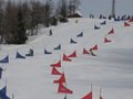 IMG_1770