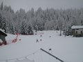 IMG_1504