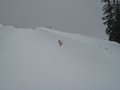 IMG_1902