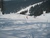 IMG_9292